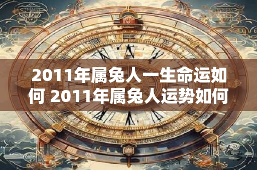 2011年属兔人一生命运如何 2011年属兔人运势如何