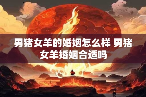 男猪女羊的婚姻怎么样 男猪女羊婚姻合适吗