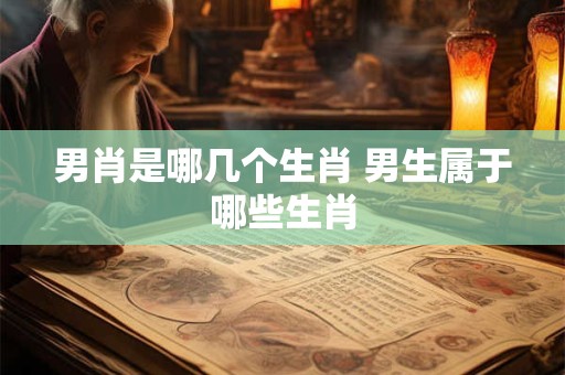 男肖是哪几个生肖 男生属于哪些生肖 男肖是哪几个生肖 男生属于哪些生肖
