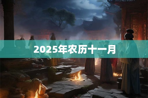 2025年农历十一月