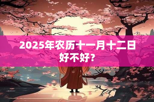 2025年农历十一月十二日好不好？