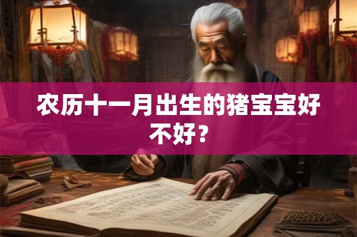 农历十一月出生的猪宝宝好不好？