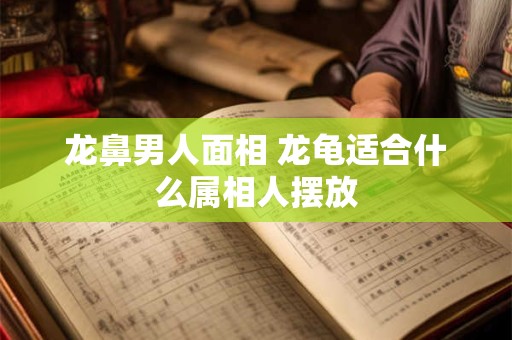 龙鼻男人面相 龙龟适合什么属相人摆放