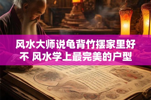 风水大师说龟背竹摆家里好不 风水学上最完美的户型