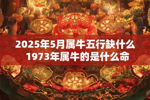 2025年5月属牛五行缺什么  1973年属牛的是什么命