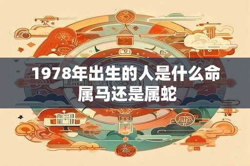 1978年出生的人是什么命 属马还是属蛇