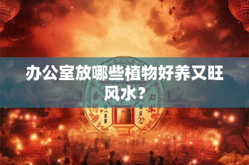 办公室放哪些植物好养又旺风水？