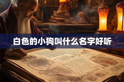 白色的小狗叫什么名字好听