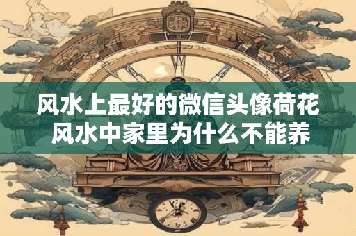 风水上最好的微信头像荷花 风水中家里为什么不能养吊兰