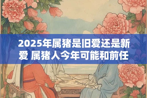 2025年属猪是旧爱还是新爱 属猪人今年可能和前任复合吗