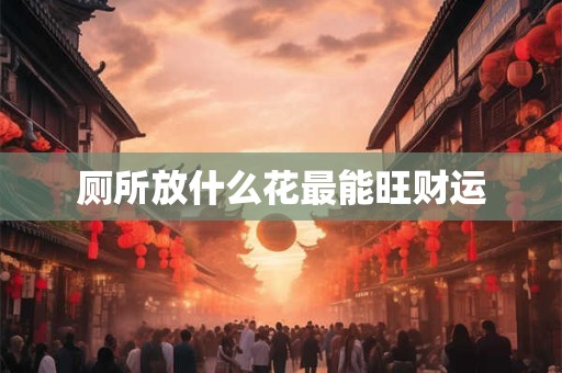 厕所放什么花最能旺财运