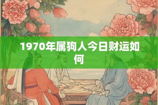1970年属狗人今日财运如何