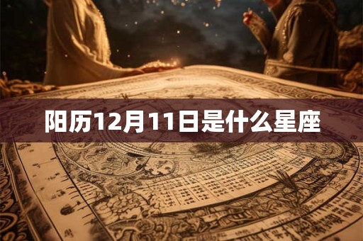 阳历12月11日是什么星座
