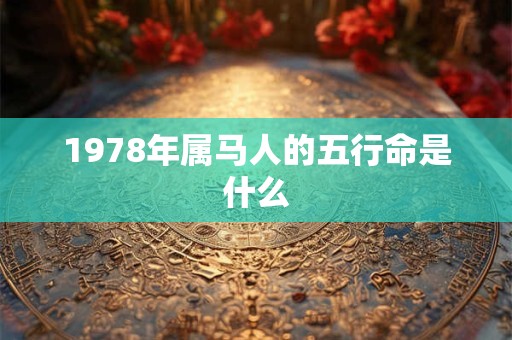 1978年属马人的五行命是什么