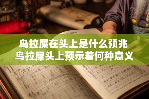 鸟拉屎在头上是什么预兆 鸟拉屎头上预示着何种意义
