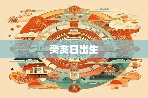 癸亥日出生