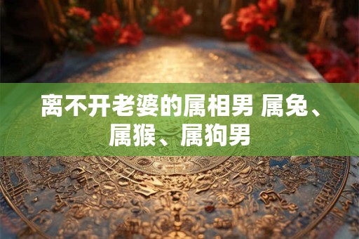 离不开老婆的属相男 属兔、属猴、属狗男