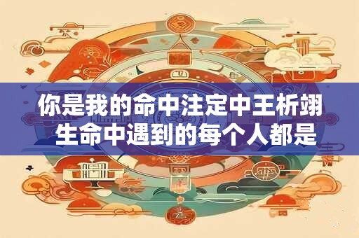 你是我的命中注定中王析翊  生命中遇到的每个人都是命中注定