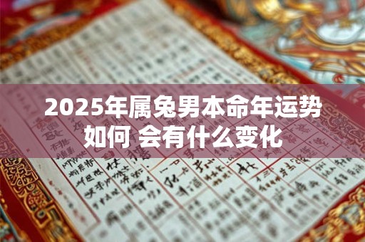 2026年属兔男本命年运势如何 会有什么变化
