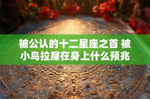 被公认的十二星座之首 被小鸟拉屎在身上什么预兆
