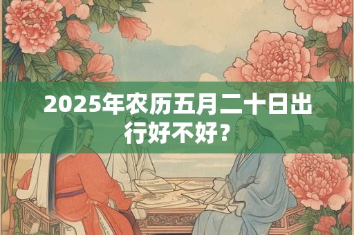 2025年农历五月二十日出行好不好？