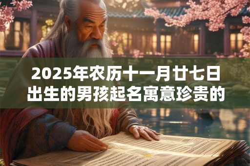 2025年农历十一月廿七日出生的男孩起名寓意珍贵的名字精选