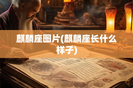 麒麟座图片(麒麟座长什么样子)
