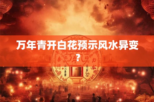 详细阅读:万年青开白花预示风水异变? 万年青开白花预示风水异变?
