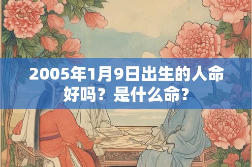 2005年1月9日出生的人命好吗？是什么命？