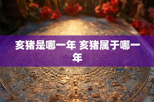 亥猪是哪一年 亥猪属于哪一年