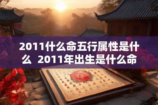 2011什么命五行属性是什么  2011年出生是什么命