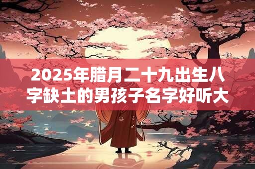 2025年腊月二十九出生八字缺土的男孩子名字好听大气的