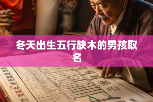 冬天出生五行缺木的男孩取名