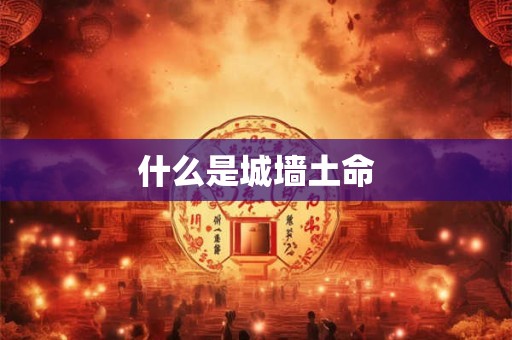 什么是城墙土命