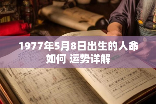 1977年5月8日出生的人命如何 运势详解
