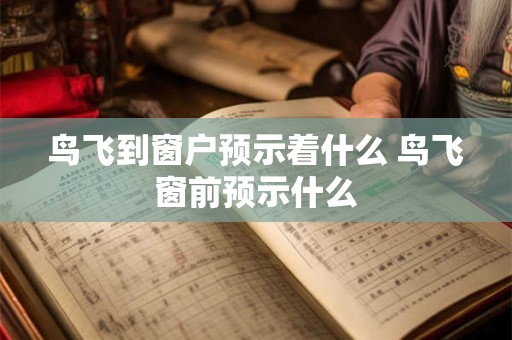 鸟飞到窗户预示着什么 鸟飞窗前预示什么