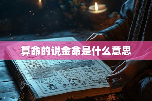算命的说金命是什么意思
