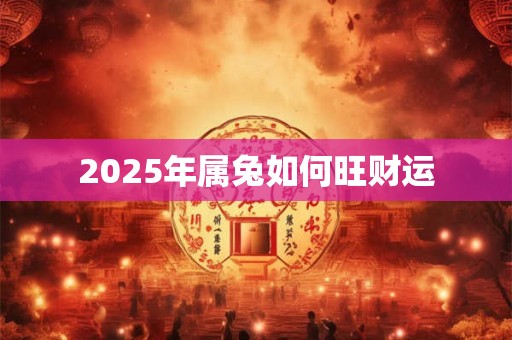 2025年属兔如何旺财运
