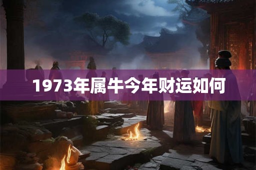 1973年属牛今年财运如何