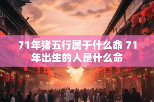 71年猪五行属于什么命 71年出生的人是什么命