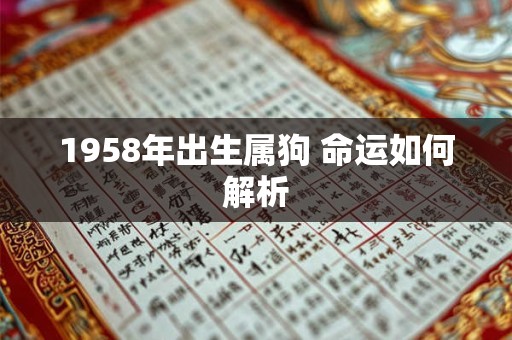 1958年出生属狗 命运如何解析