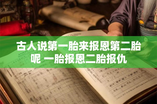 古人说第一胎来报恩第二胎呢 一胎报恩二胎报仇