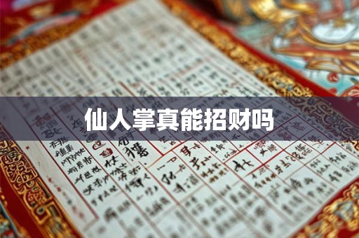 仙人掌真能招财吗