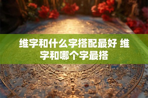 维字和什么字搭配最好 维字和哪个字最搭
