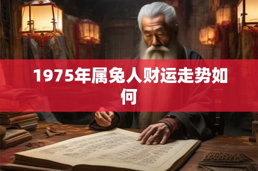 1975年属兔人财运走势如何