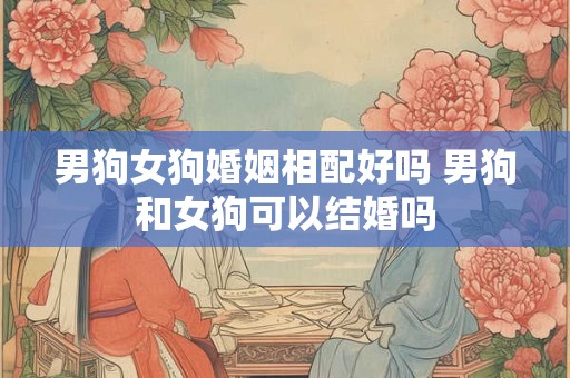 男狗女狗婚姻相配好吗 男狗和女狗可以结婚吗