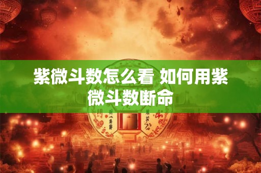 紫微斗数怎么看 如何用紫微斗数断命