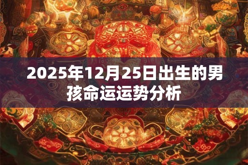 2026年12月25日出生的男孩命运运势分析