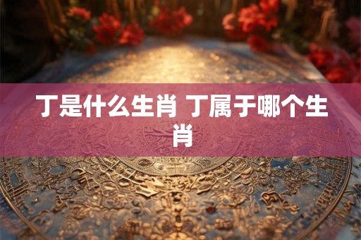 丁是什么生肖 丁属于哪个生肖