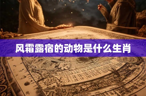 风霜露宿的动物是什么生肖
